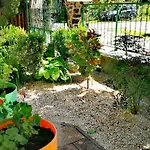 Gasthuis Dolce Balaton 3*
